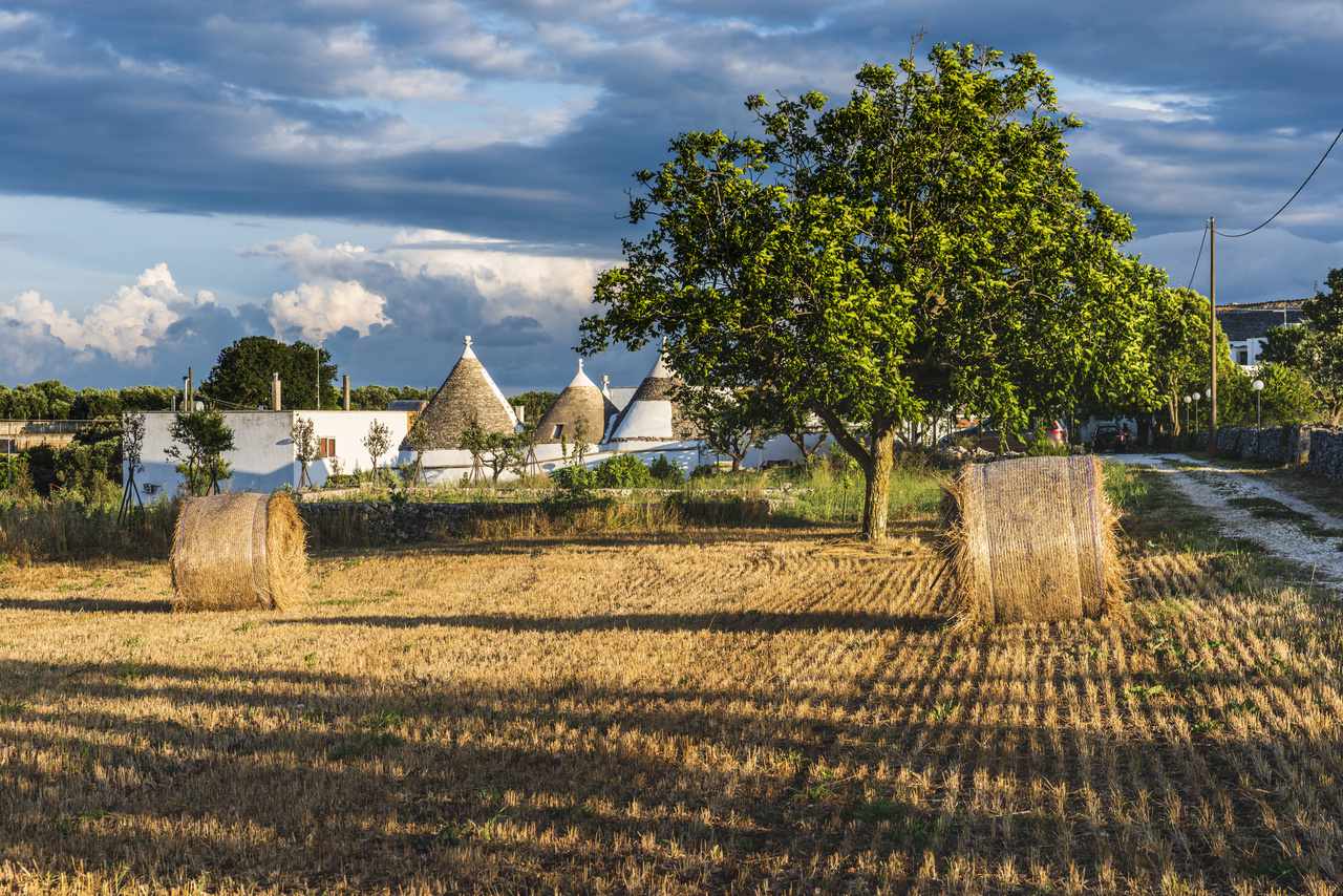 Trulli of the Itria valley